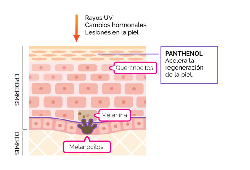 acción panthenol antimanchas